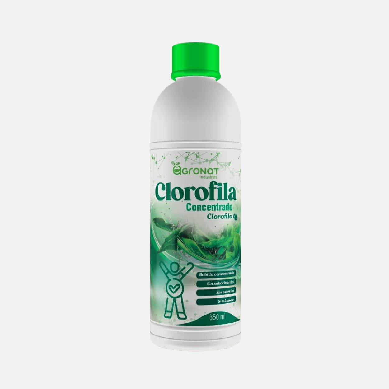 Clorofila